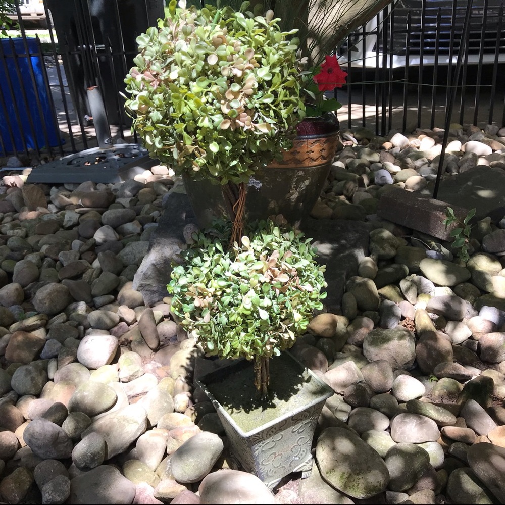 Pier 1 Topiary